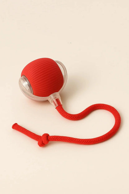 ✨HOT SALE 49% OFF✨🎄50K+；Cat&Dog toy ball cat&dog toy electric moving ball toy