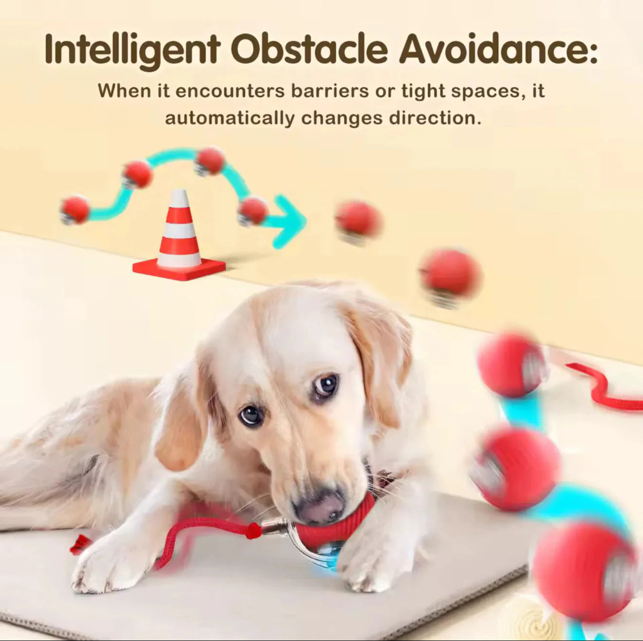 ✨HOT SALE 49% OFF✨🎄50K+；Cat&Dog toy ball cat&dog toy electric moving ball toy